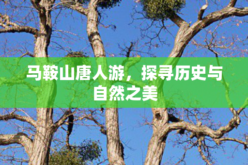 马鞍山唐人游,探寻历史与自然之美 马鞍山唐人游,探寻历史与自然之美