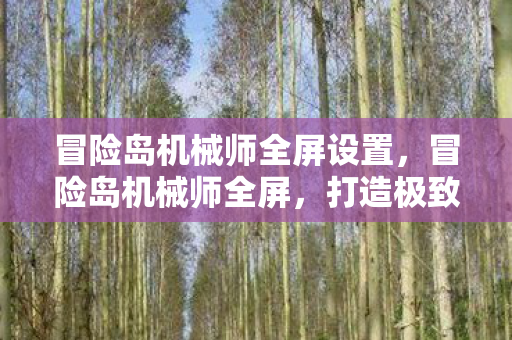 冒险岛机械师全屏设置,冒险岛机械师全屏,打造极致战斗体验 冒险岛机械师全屏设置,冒险岛机械师全屏,打造极致战斗体验