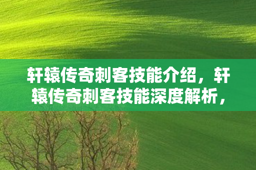 轩辕传奇刺客技能介绍,轩辕传奇刺客技能深度解析,潜行与致命的艺术 轩辕传奇刺客技能介绍,轩辕传奇刺客技能深度解析,潜行与致命的艺术
