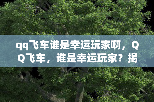 qq飞车谁是幸运玩家啊,QQ飞车,谁是幸运玩家?揭秘游戏中的隐藏福利与惊喜 qq飞车谁是幸运玩家啊,QQ飞车,谁是幸运玩家?揭秘游戏中的隐藏福利与惊喜