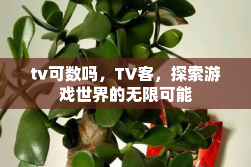 tv可数吗,TV客,探索游戏世界的无限可能 tv可数吗,TV客,探索游戏世界的无限可能
