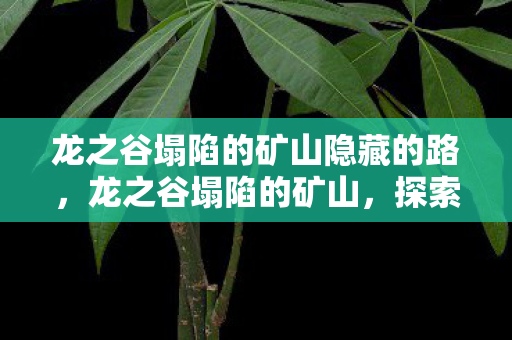 龙之谷塌陷的矿山隐藏的路,龙之谷塌陷的矿山,探索未知世界的神秘之旅 龙之谷塌陷的矿山隐藏的路,龙之谷塌陷的矿山,探索未知世界的神秘之旅