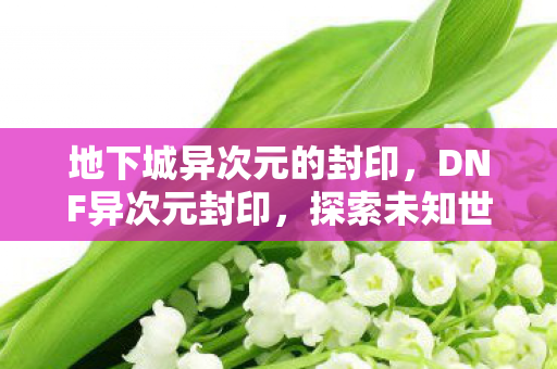 地下城异次元的封印,DNF异次元封印,探索未知世界的神秘封印 地下城异次元的封印,DNF异次元封印,探索未知世界的神秘封印
