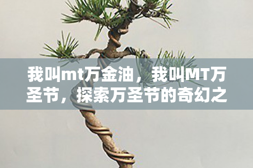 我叫mt万金油,我叫MT万圣节,探索万圣节的奇幻之旅 我叫mt万金油,我叫MT万圣节,探索万圣节的奇幻之旅