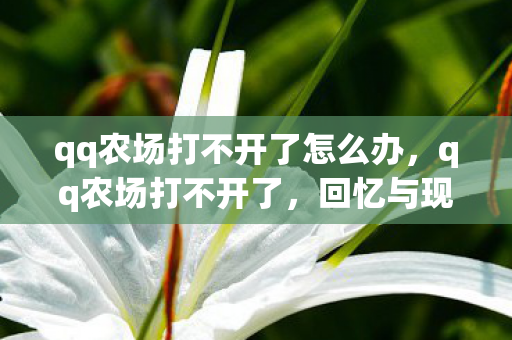 qq农场打不开了怎么办,qq农场打不开了,回忆与现实交织的遗憾 qq农场打不开了怎么办,qq农场打不开了,回忆与现实交织的遗憾