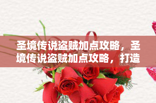 圣境传说盗贼加点攻略,圣境传说盗贼加点攻略,打造高效输出与生存能力 圣境传说盗贼加点攻略,圣境传说盗贼加点攻略,打造高效输出与生存能力
