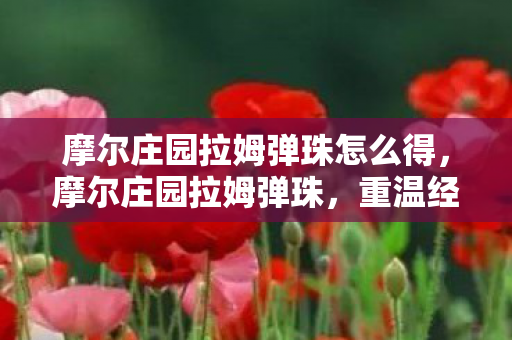 摩尔庄园拉姆弹珠怎么得,摩尔庄园拉姆弹珠,重温经典,探索无限乐趣 摩尔庄园拉姆弹珠怎么得,摩尔庄园拉姆弹珠,重温经典,探索无限乐趣