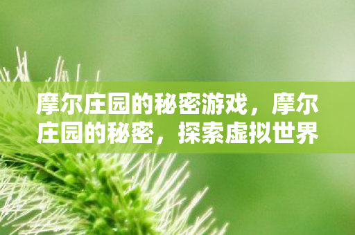摩尔庄园的秘密游戏，摩尔庄园的秘密，探索虚拟世界的奇妙之旅