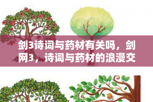 剑3诗词与药材有关吗，剑网3，诗词与药材的浪漫交织