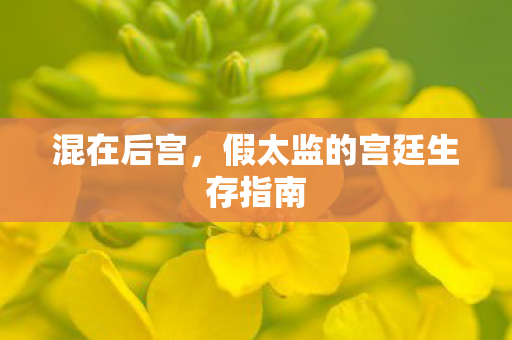 混在后宫,假太监的宫廷生存指南 混在后宫,假太监的宫廷生存指南