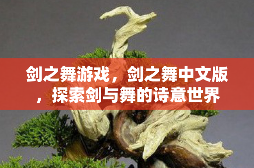 剑之舞游戏,剑之舞中文版,探索剑与舞的诗意世界 剑之舞游戏,剑之舞中文版,探索剑与舞的诗意世界