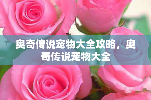 奥奇传说宠物大全攻略,奥奇传说宠物大全 奥奇传说宠物大全攻略,奥奇传说宠物大全