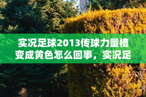 实况足球2013传球力量槽变成黄色怎么回事,实况足球2013,精准传球的艺术 实况足球2013传球力量槽变成黄色怎么回事,实况足球2013,精准传球的艺术