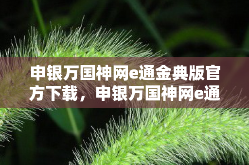 申银万国神网e通金典版官方下载,申银万国神网e通金典版下载指南,安全、高效的投资工具 申银万国神网e通金典版官方下载,申银万国神网e通金典版下载指南,安全、高效的投资工具