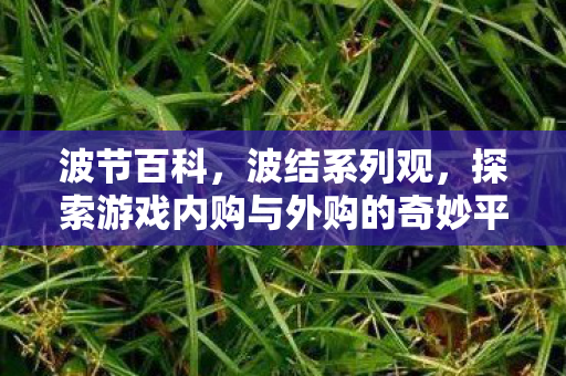 波节百科,波结系列观,探索游戏内购与外购的奇妙平衡 波节百科,波结系列观,探索游戏内购与外购的奇妙平衡