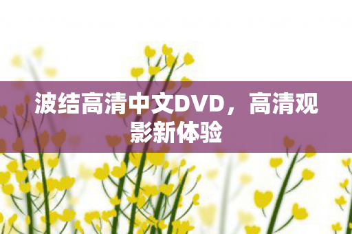 波结高清中文DVD,高清观影新体验 波结高清中文DVD,高清观影新体验