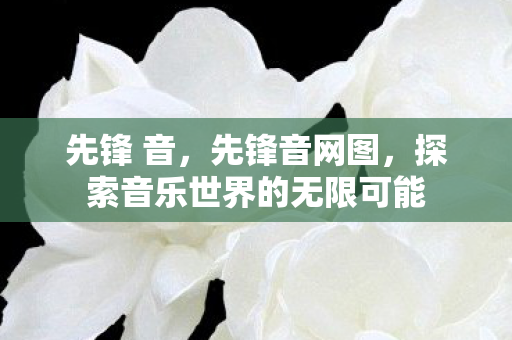 先锋 音,先锋音网图,探索音乐世界的无限可能 先锋 音,先锋音网图,探索音乐世界的无限可能