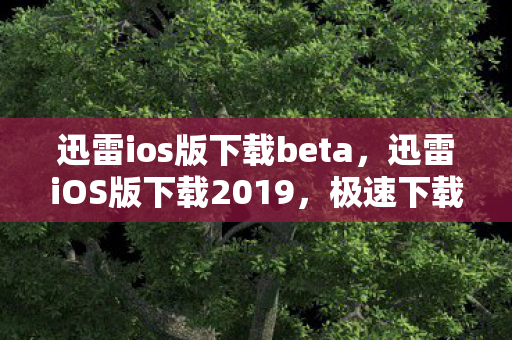 迅雷ios版下载beta,迅雷iOS版下载2019,极速下载体验与功能亮点解析 迅雷ios版下载beta,迅雷iOS版下载2019,极速下载体验与功能亮点解析