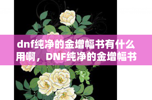 dnf纯净的金增幅书有什么用啊,DNF纯净的金增幅书有什么用? dnf纯净的金增幅书有什么用啊,DNF纯净的金增幅书有什么用?