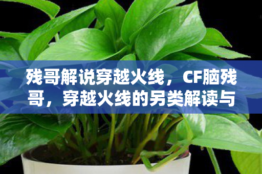 残哥解说穿越火线,CF脑残哥,穿越火线的另类解读与玩家心声 残哥解说穿越火线,CF脑残哥,穿越火线的另类解读与玩家心声