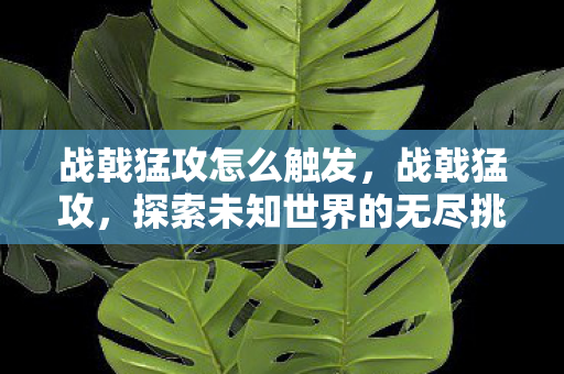 战戟猛攻怎么触发,战戟猛攻,探索未知世界的无尽挑战 战戟猛攻怎么触发,战戟猛攻,探索未知世界的无尽挑战
