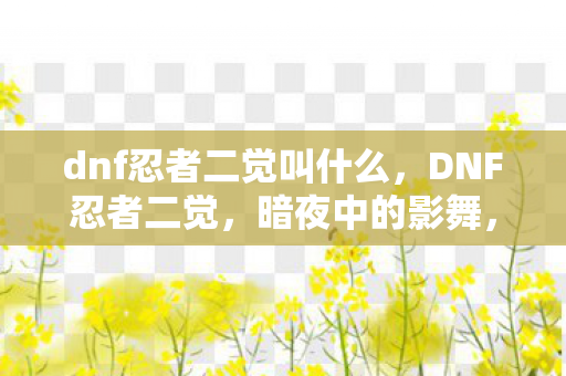 dnf忍者二觉叫什么,DNF忍者二觉,暗夜中的影舞,觉醒的极致 dnf忍者二觉叫什么,DNF忍者二觉,暗夜中的影舞,觉醒的极致