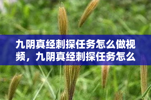九阴真经刺探任务怎么做视频,九阴真经刺探任务怎么做 九阴真经刺探任务怎么做视频,九阴真经刺探任务怎么做