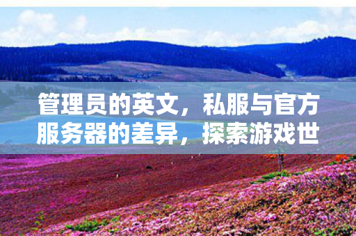 管理员的英文,私服与官方服务器的差异,探索游戏世界的不同维度 管理员的英文,私服与官方服务器的差异,探索游戏世界的不同维度