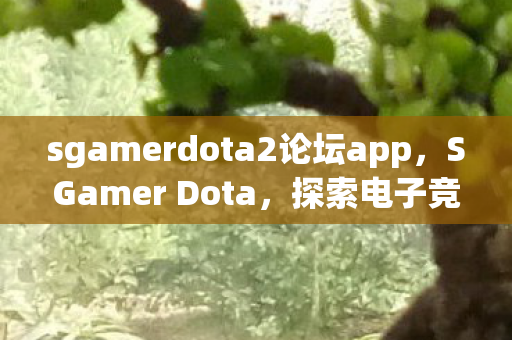 sgamerdota2论坛app,SGamer Dota,探索电子竞技的无限可能 sgamerdota2论坛app,SGamer Dota,探索电子竞技的无限可能