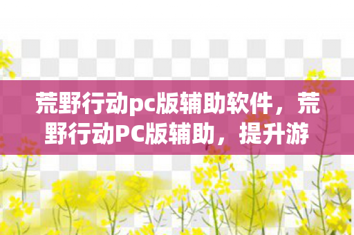荒野行动pc版辅助软件，荒野行动PC版辅助，提升游戏体验的利器