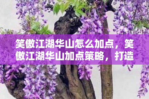 笑傲江湖华山怎么加点,笑傲江湖华山加点策略,打造最强剑侠 笑傲江湖华山怎么加点,笑傲江湖华山加点策略,打造最强剑侠