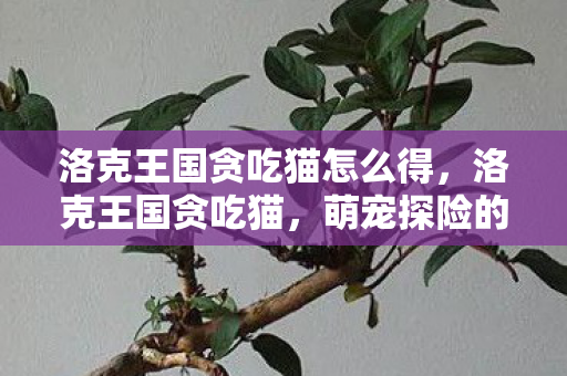 洛克王国贪吃猫怎么得,洛克王国贪吃猫,萌宠探险的奇妙之旅 洛克王国贪吃猫怎么得,洛克王国贪吃猫,萌宠探险的奇妙之旅
