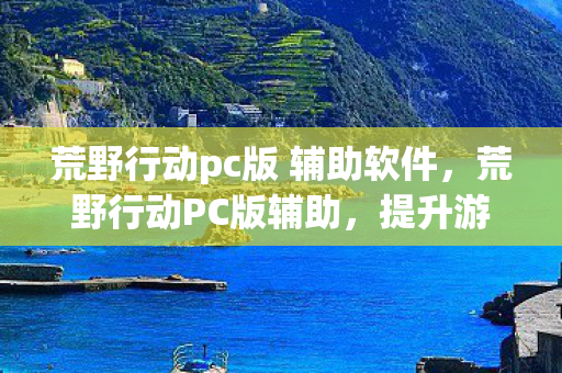 荒野行动pc版 辅助软件,荒野行动PC版辅助,提升游戏体验的合法工具 荒野行动pc版 辅助软件,荒野行动PC版辅助,提升游戏体验的合法工具