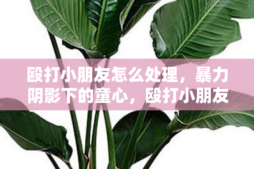 殴打小朋友怎么处理,暴力阴影下的童心,殴打小朋友事件探析 殴打小朋友怎么处理,暴力阴影下的童心,殴打小朋友事件探析