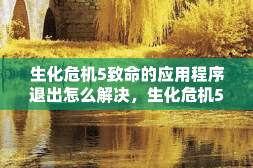 生化危机5致命的应用程序退出怎么解决,生化危机5,致命的应用程序退出 生化危机5致命的应用程序退出怎么解决,生化危机5,致命的应用程序退出