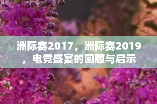 洲际赛2017,洲际赛2019,电竞盛宴的回顾与启示 洲际赛2017,洲际赛2019,电竞盛宴的回顾与启示