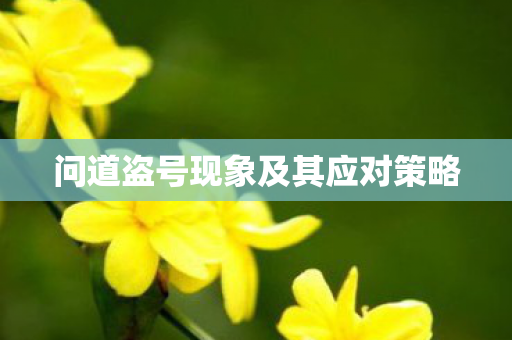 问道盗号现象及其应对策略 问道盗号现象及其应对策略