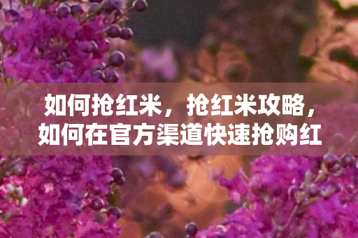 如何抢红米，抢红米攻略，如何在官方渠道快速抢购红米手机