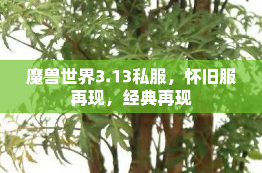 魔兽世界3.13私服,怀旧服再现,经典再现 魔兽世界3.13私服,怀旧服再现,经典再现