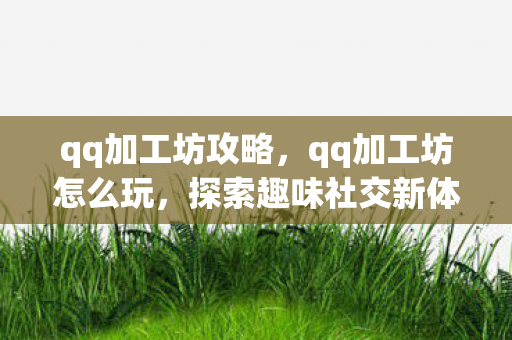 qq加工坊攻略,qq加工坊怎么玩,探索趣味社交新体验 qq加工坊攻略,qq加工坊怎么玩,探索趣味社交新体验