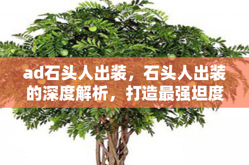 ad石头人出装,石头人出装的深度解析,打造最强坦度与控场 ad石头人出装,石头人出装的深度解析,打造最强坦度与控场