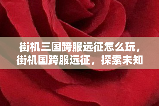 街机三国跨服远征怎么玩,街机国跨服远征,探索未知,共赴荣耀之战 街机三国跨服远征怎么玩,街机国跨服远征,探索未知,共赴荣耀之战