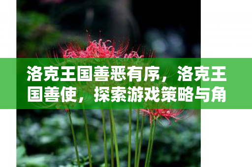 洛克王国善恶有序,洛克王国善使,探索游戏策略与角色发展 洛克王国善恶有序,洛克王国善使,探索游戏策略与角色发展