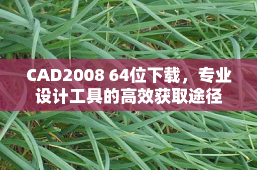 CAD2008 64位下载,专业设计工具的高效获取途径 CAD2008 64位下载,专业设计工具的高效获取途径