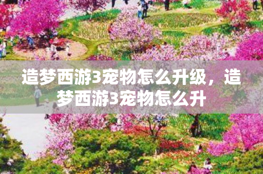 造梦西游3宠物怎么升级,造梦西游3宠物怎么升 造梦西游3宠物怎么升级,造梦西游3宠物怎么升