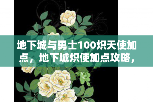 地下城与勇士100炽天使加点，地下城炽使加点攻略，打造高效战斗力的关键