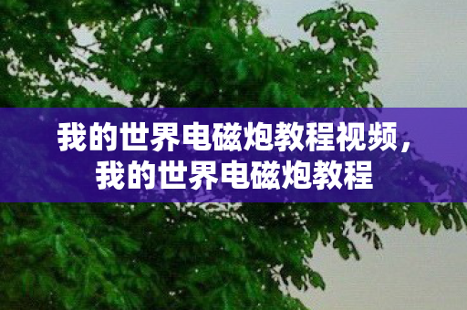 我的世界电磁炮教程视频,我的世界电磁炮教程 我的世界电磁炮教程视频,我的世界电磁炮教程
