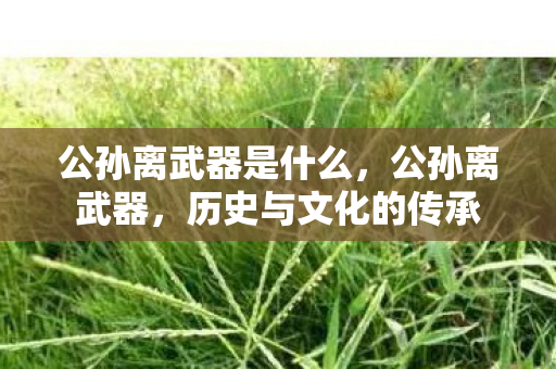 公孙离武器是什么,公孙离武器,历史与文化的传承 公孙离武器是什么,公孙离武器,历史与文化的传承