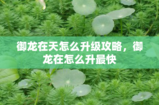 御龙在天怎么升级攻略,御龙在怎么升最快 御龙在天怎么升级攻略,御龙在怎么升最快