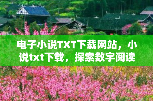 电子小说TXT下载网站，小说txt下载，探索数字阅读的无限可能